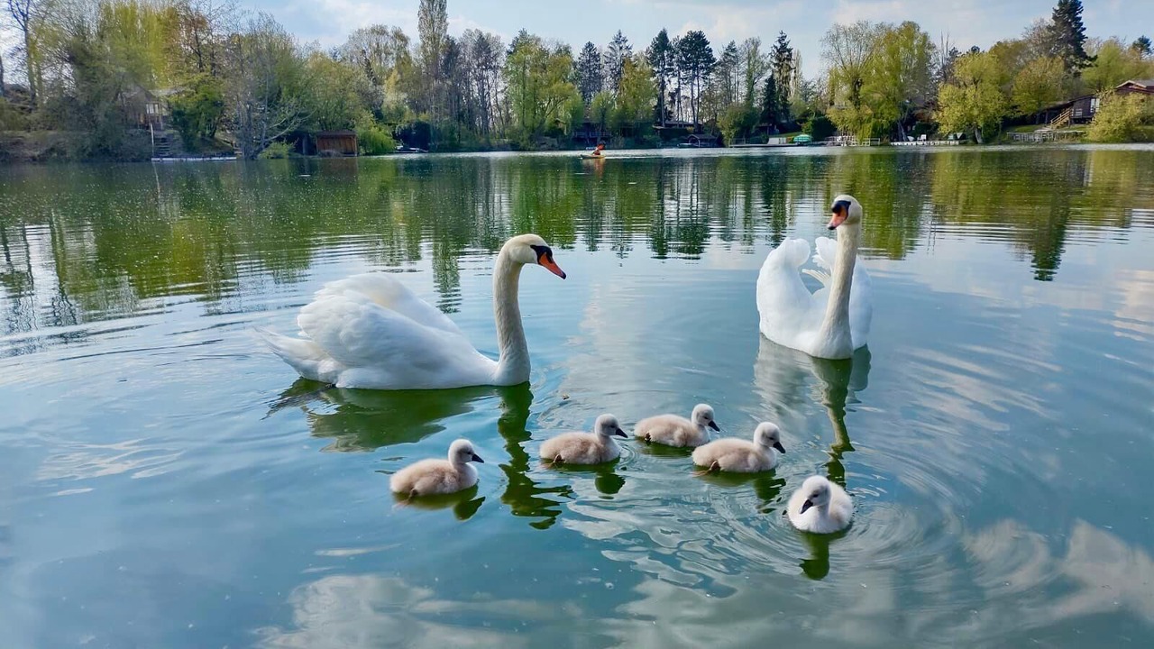Photo of Others in Misy-sur-Yonne