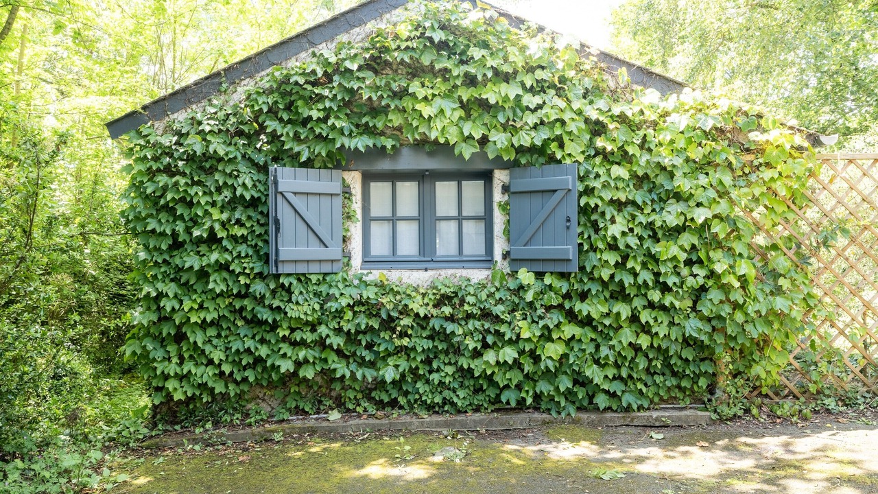 Photo of Outdoor in Sables-d'Or-les-Pins