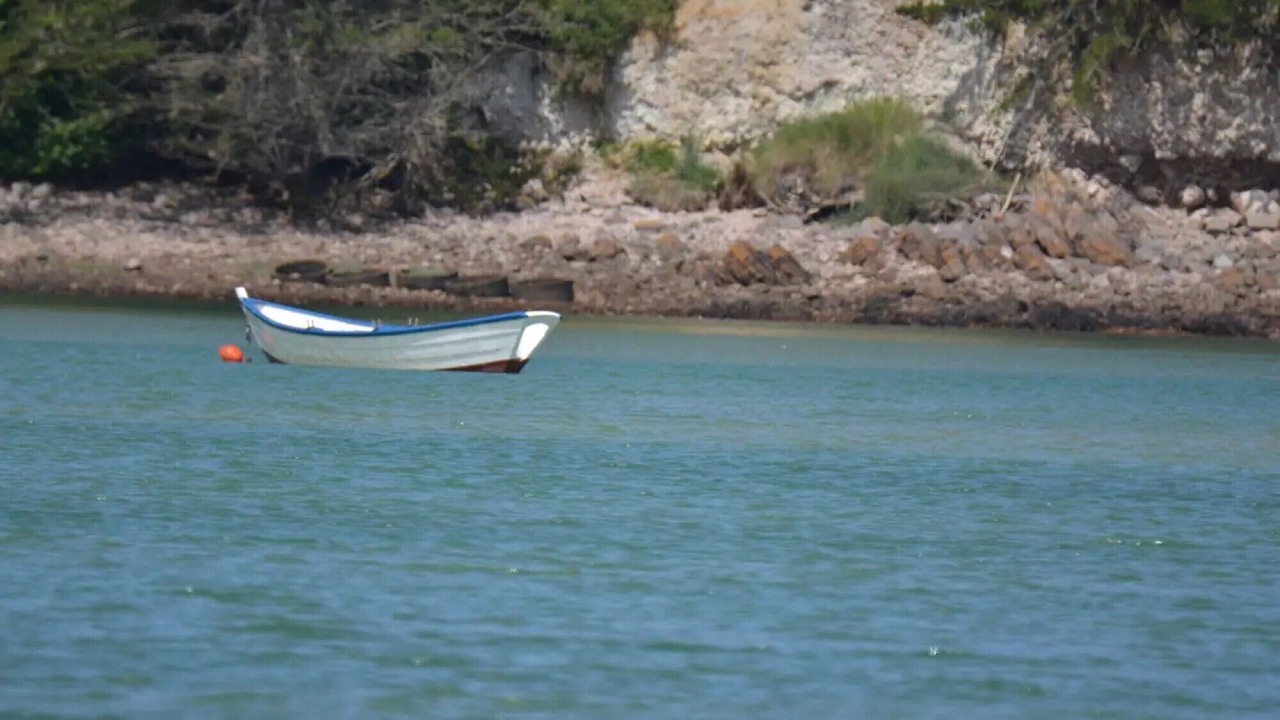 Photo of Others in Sables-d'Or-les-Pins