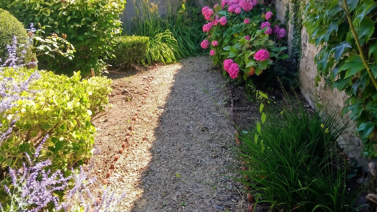 Photo of Outdoor in Sedan