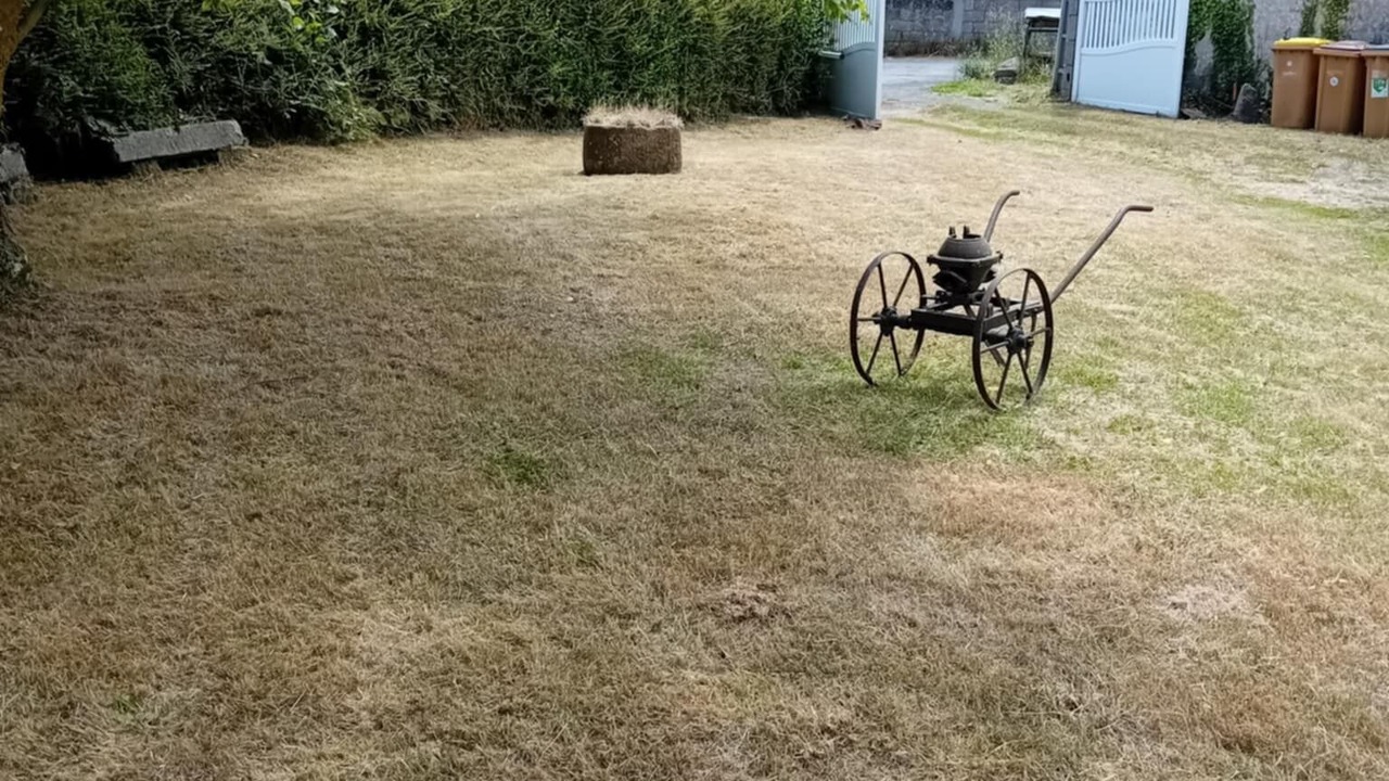 Photo of Outdoor in Saint-Brieuc