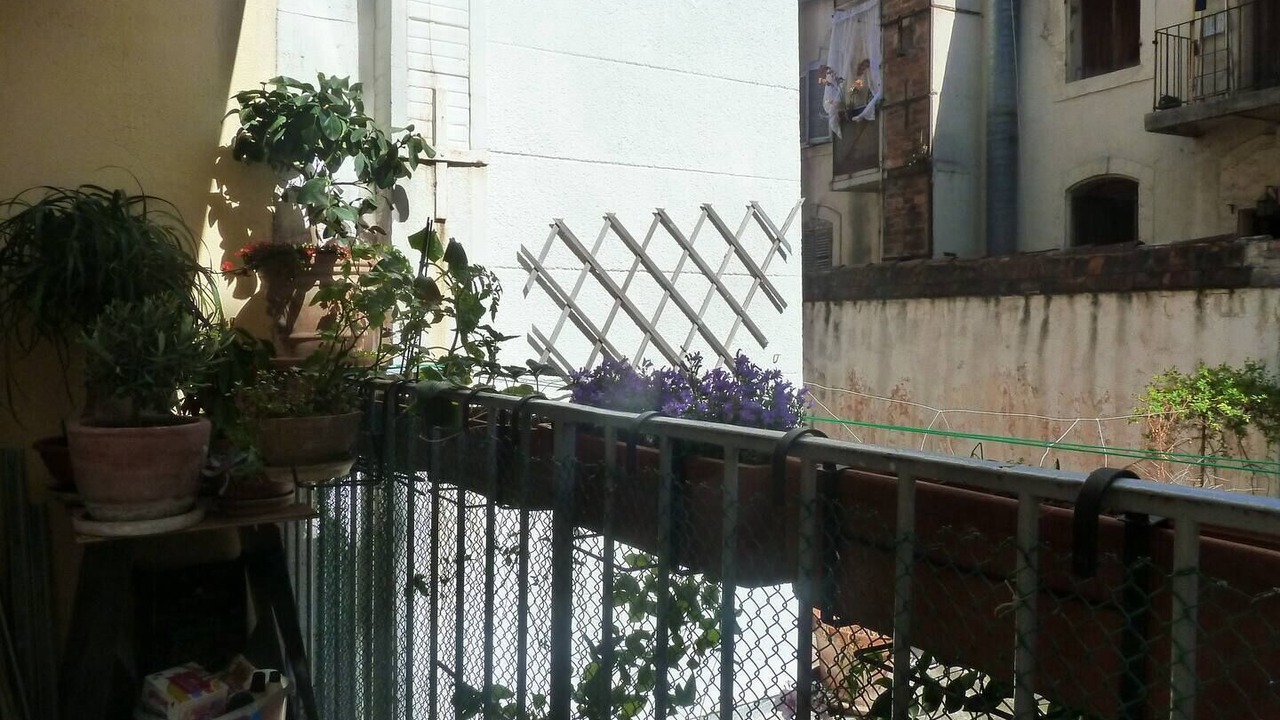 Photo of Outdoor in Belsunce