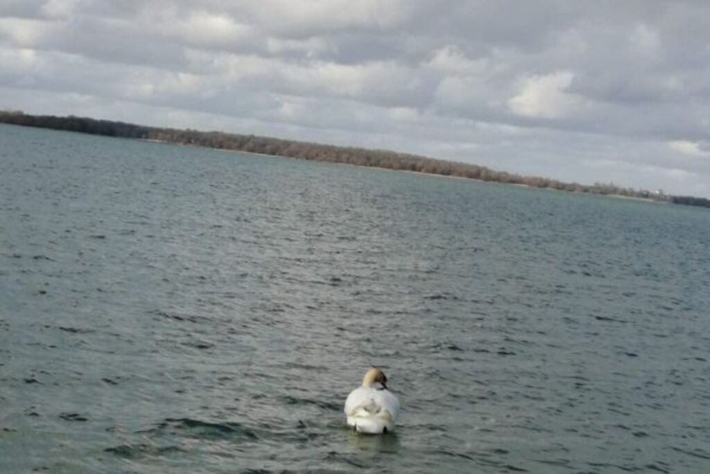 Photo of Others in Mesnil-Saint-Pere