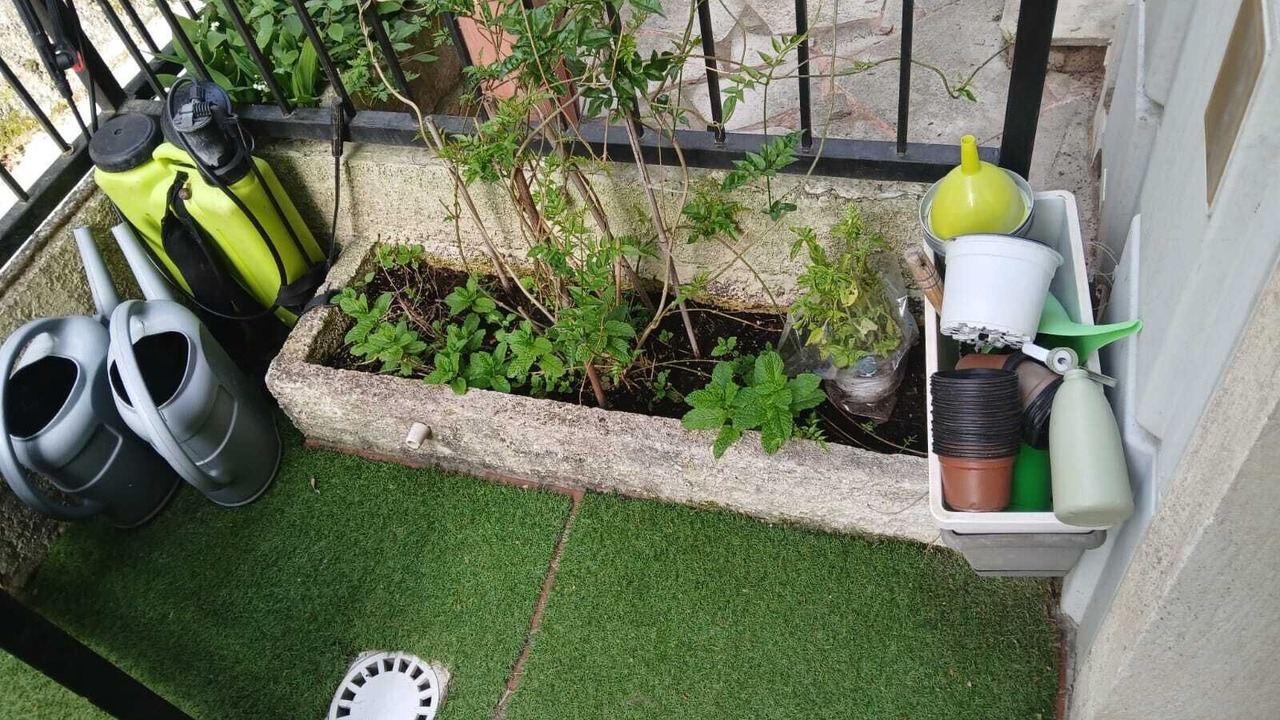 Photo of Outdoor in La Trinite