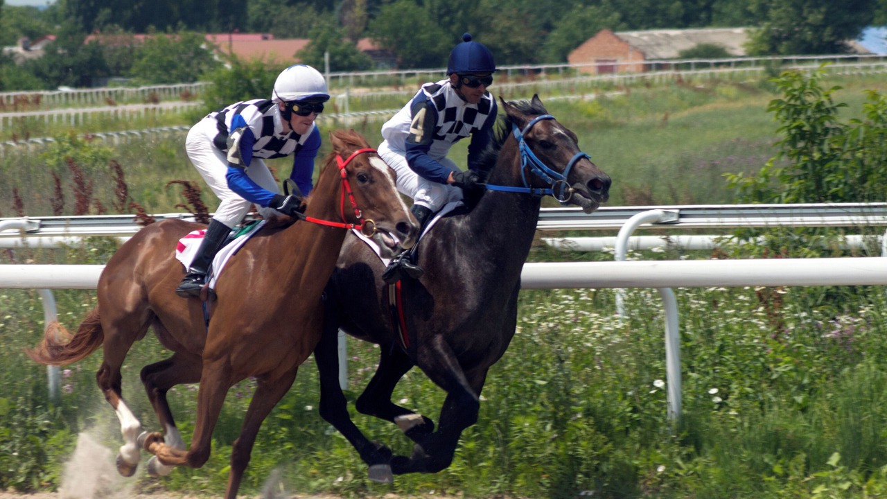 Photo of Others in Rollainville