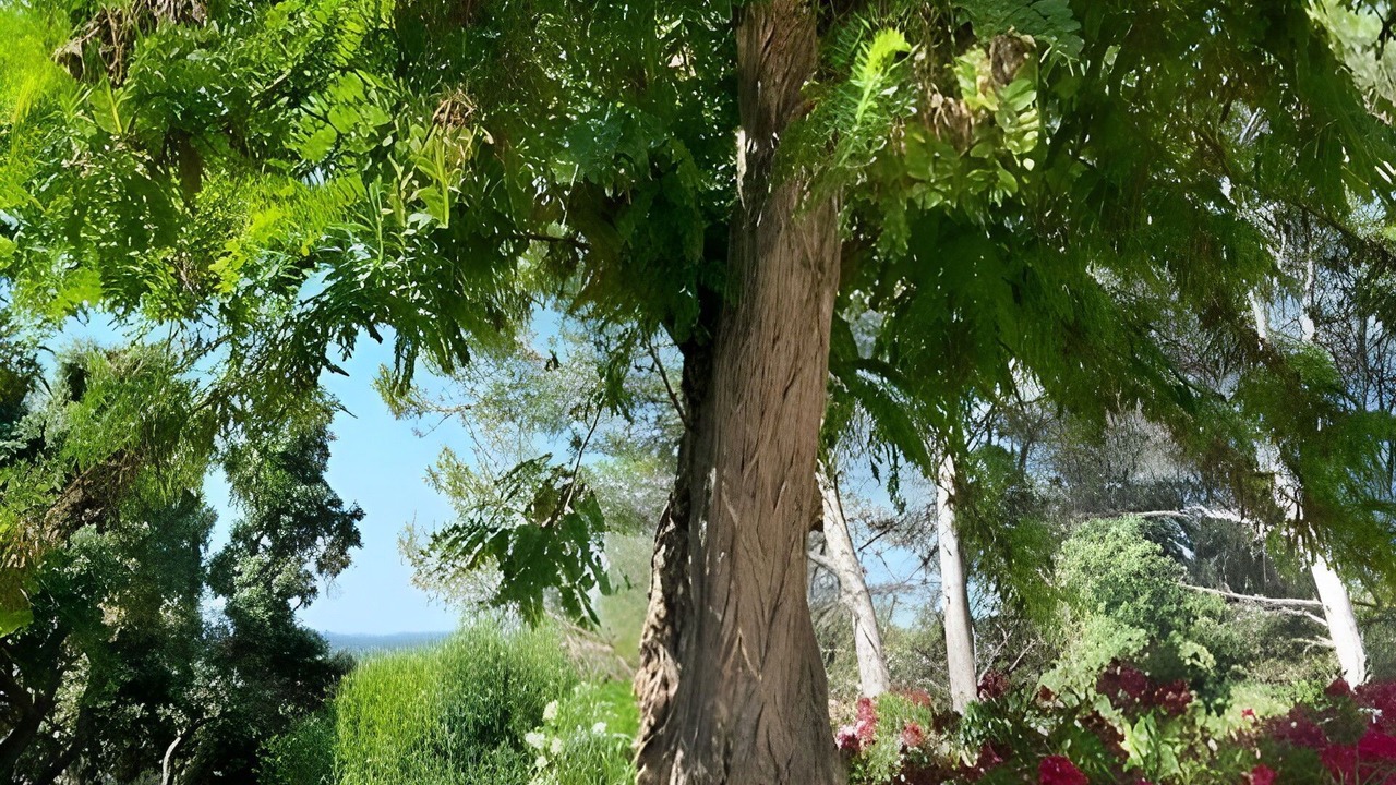 Photo of Outdoor in Aramon