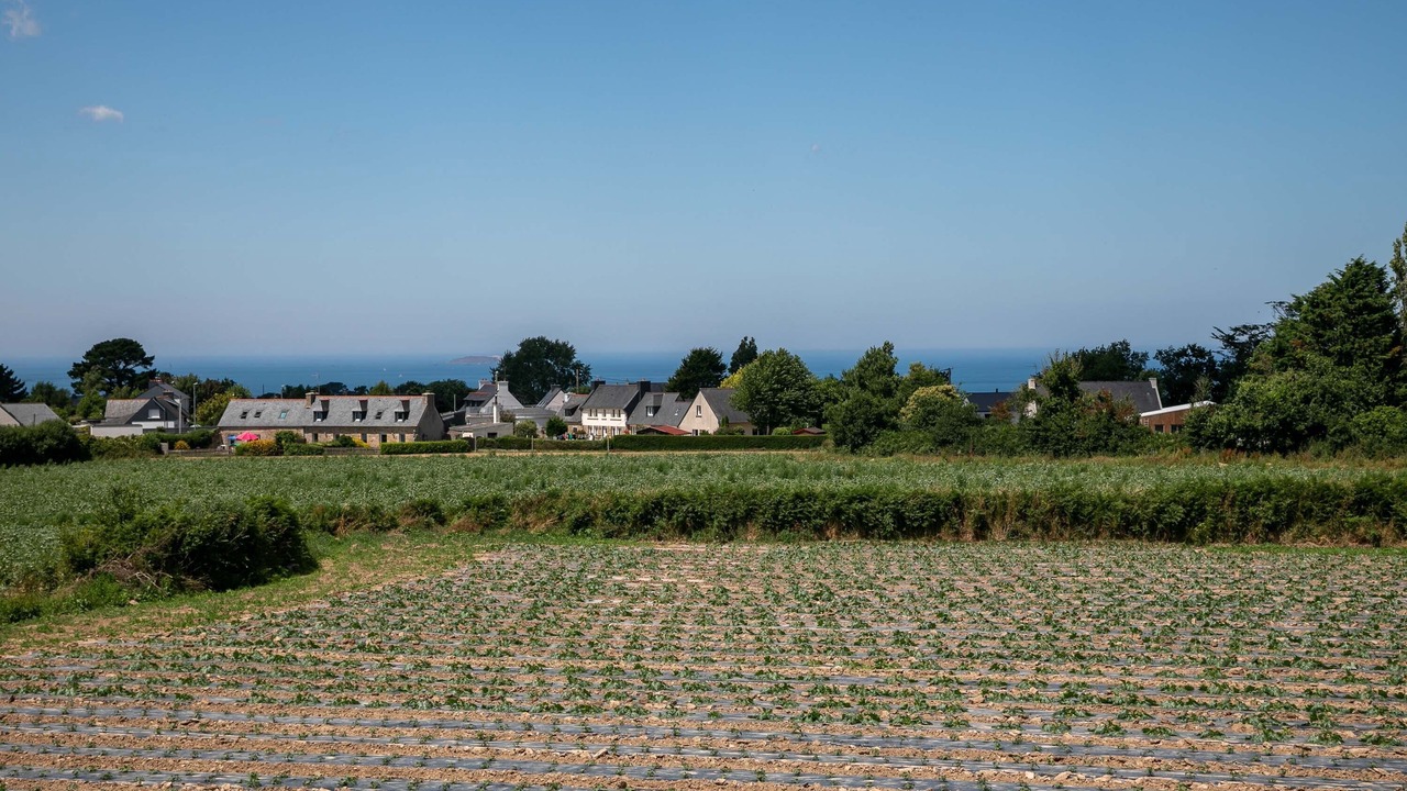 Photo of Others in Trevou-Treguignec