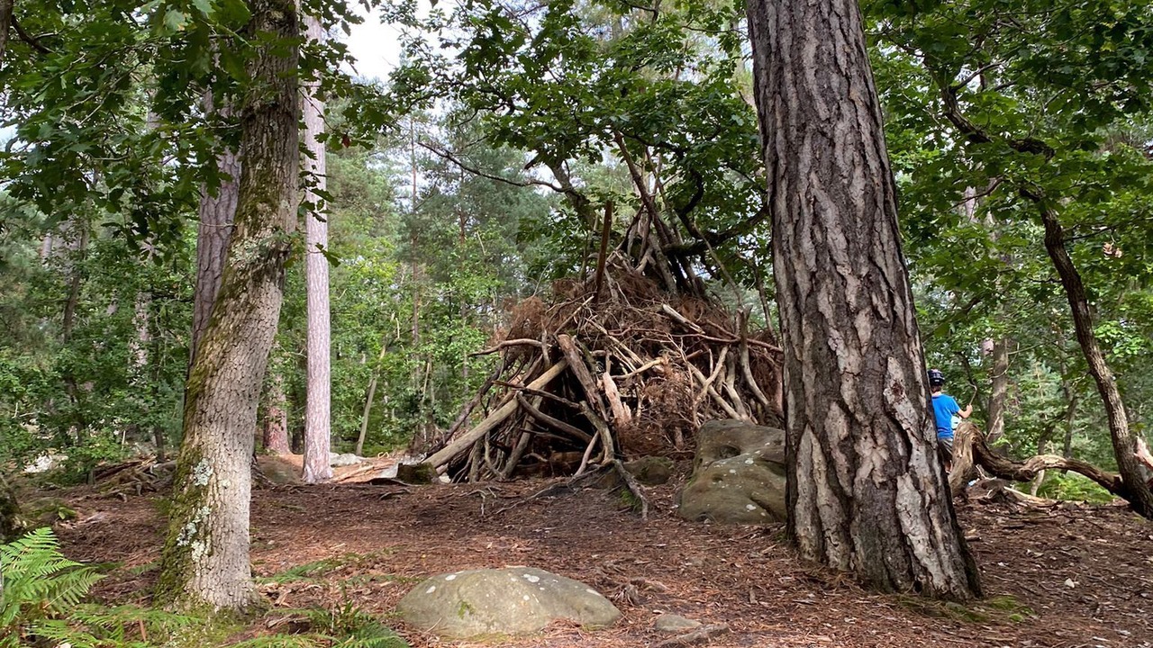 Photo of Others in Fontainebleau