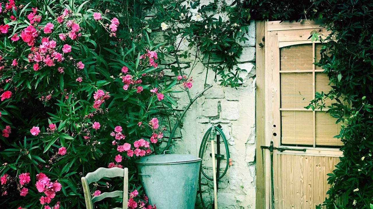 Photo of Outdoor in Marsanne