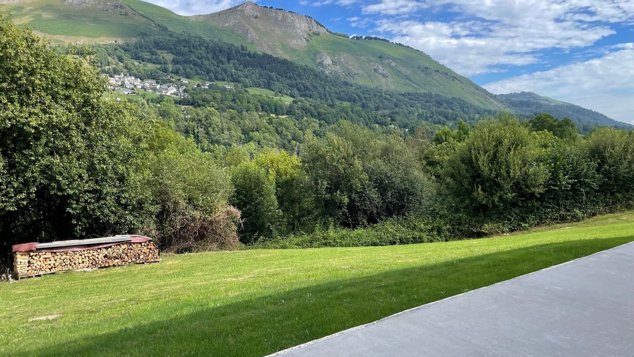 Photo of Outdoor in Bun