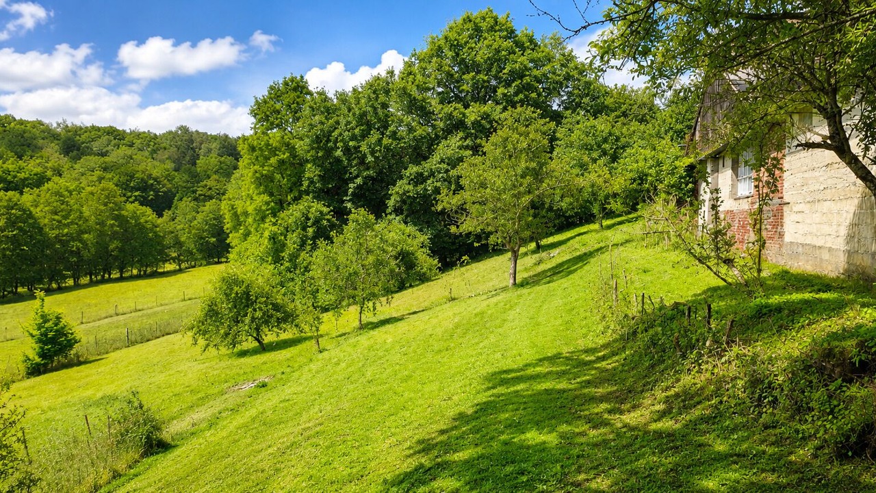 Photo of Outdoor in Montmeillant