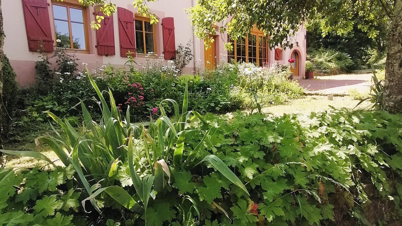 Photo of Others in Taintrux