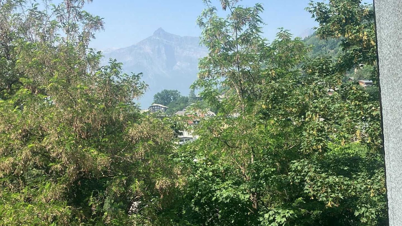 Photo of Others in Saint-Gervais-les-Bains