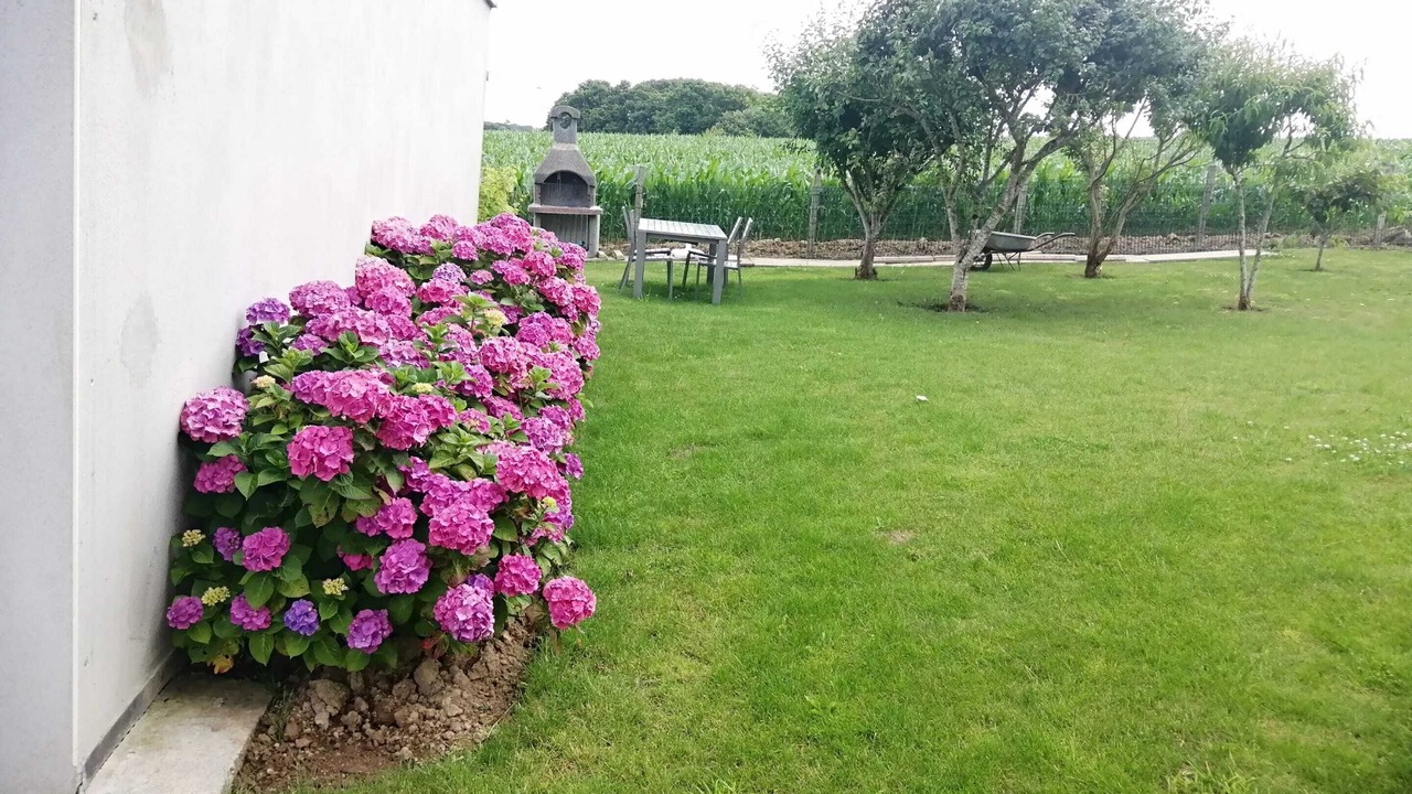 Photo of Outdoor in Tredaniel