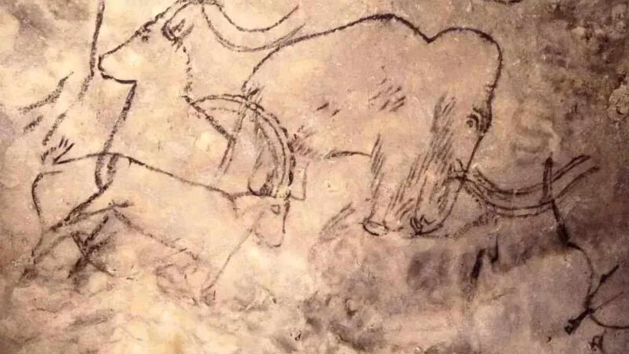 Photo of Others in Rouffignac-Saint-Cernin-de-Reilhac