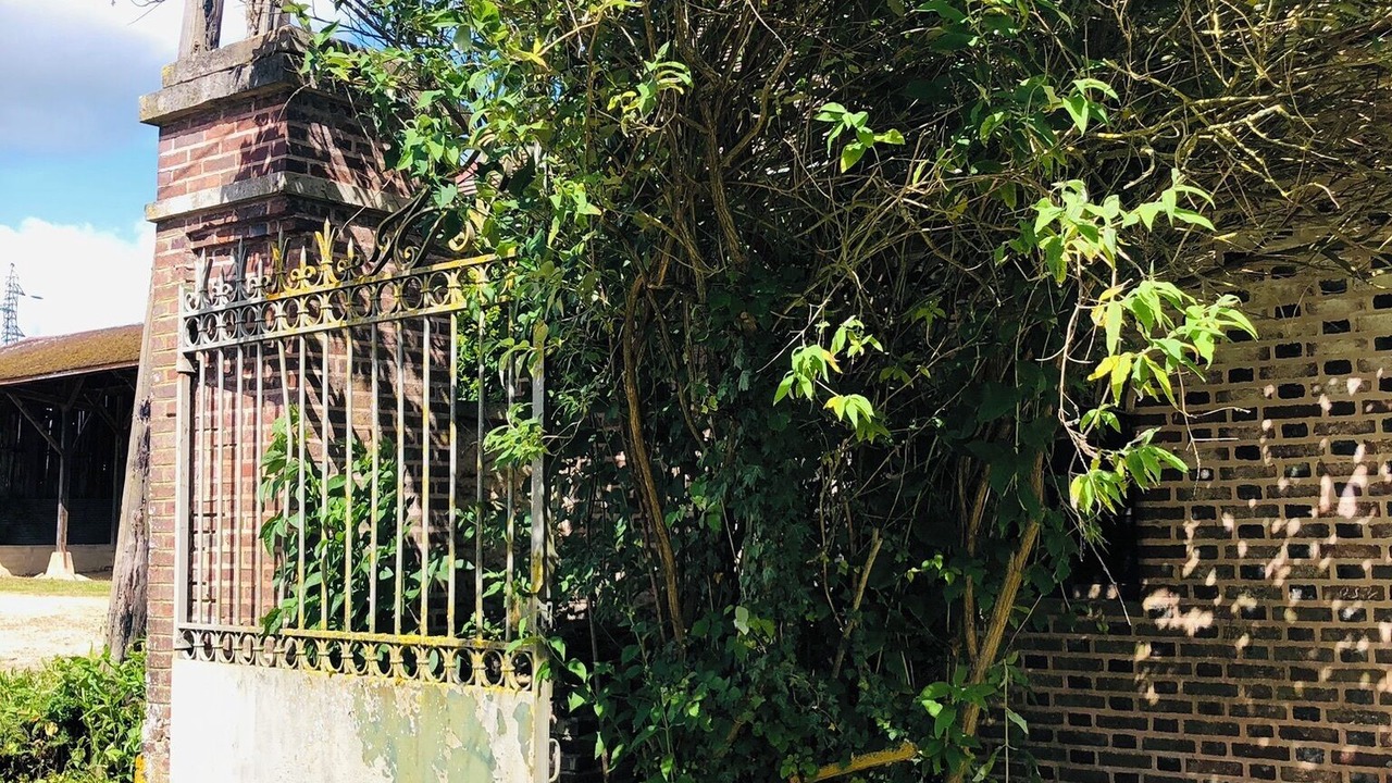 Photo of Outdoor in Albã