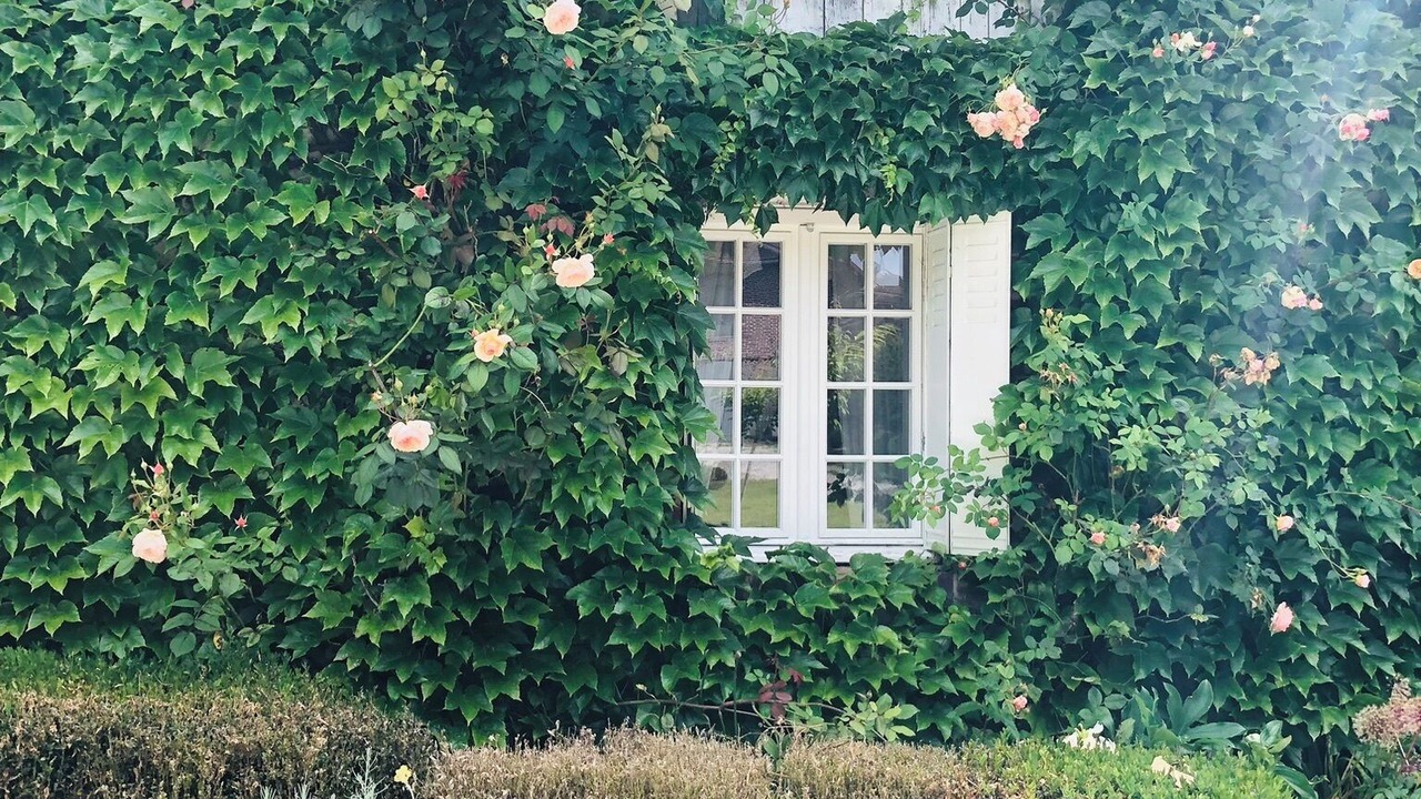 Photo of Outdoor in Albã