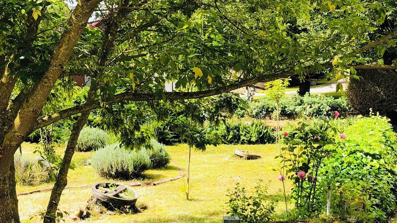 Photo of Outdoor in Albã