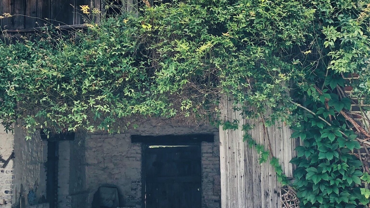 Photo of Outdoor in Albã