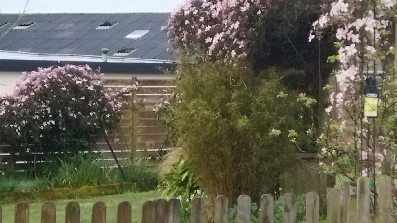 Photo of Outdoor in Lannion