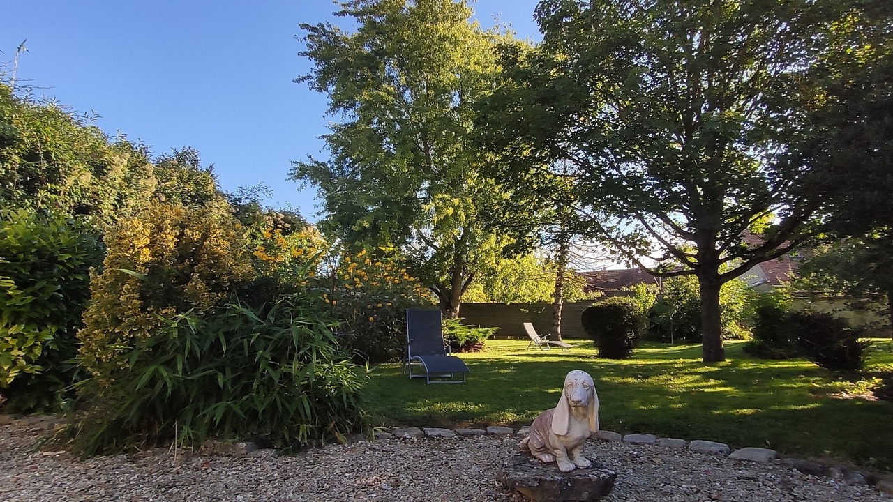 Photo of Outdoor in Vulaines-les-Provins