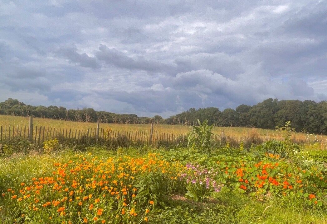 Photo of Outdoor in Pommerit-le-Vicomte