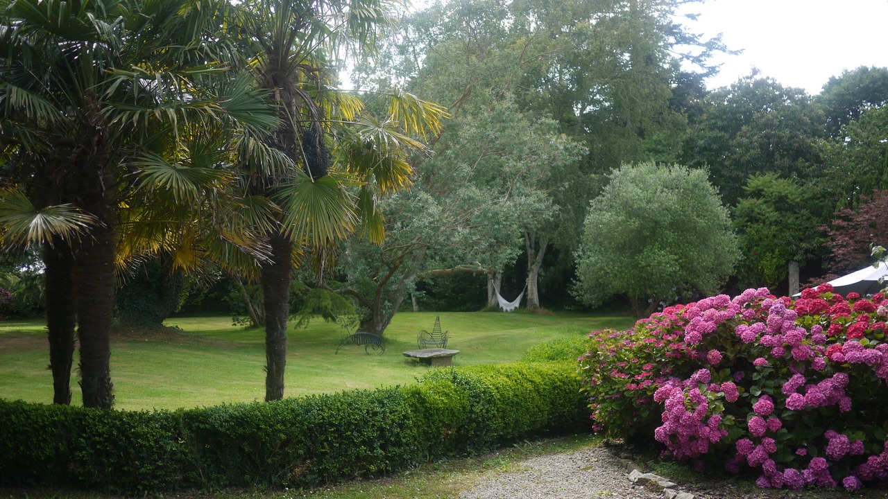 Photo of Outdoor in Plourhan
