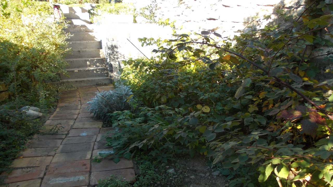 Photo of Outdoor in Sost