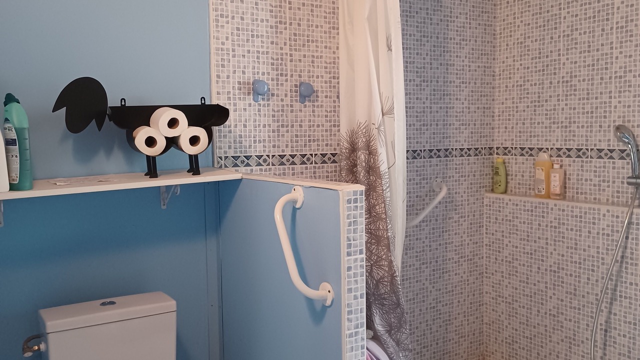 Photo of Bathroom in Sost