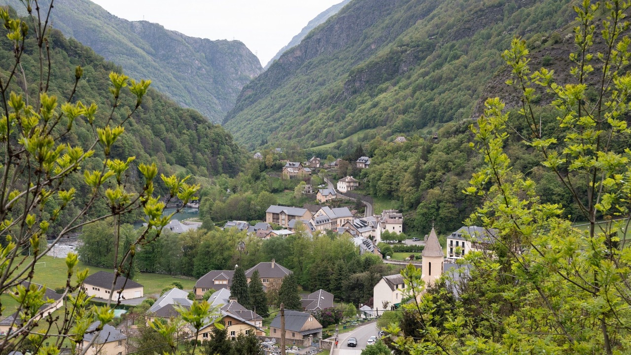 Photo of Others in Gedre
