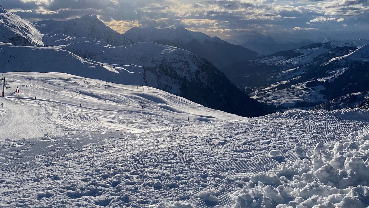 Photo of Others in Domancy