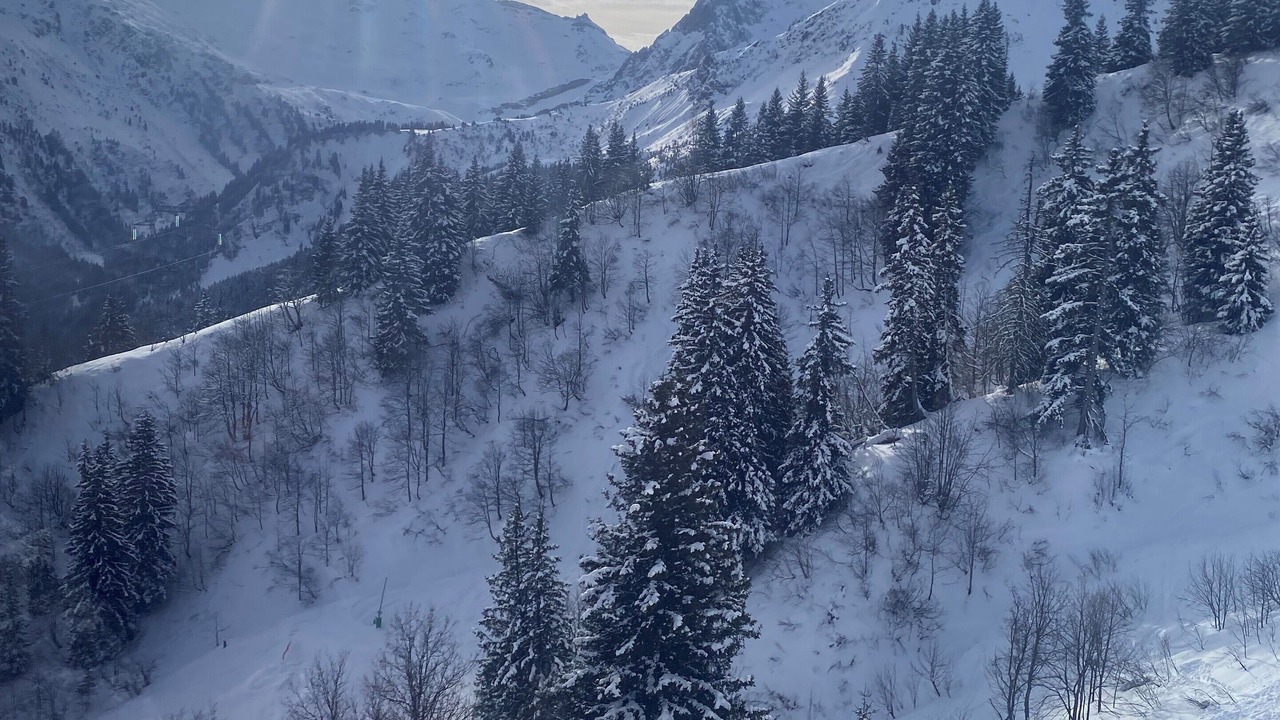 Photo of Others in Domancy