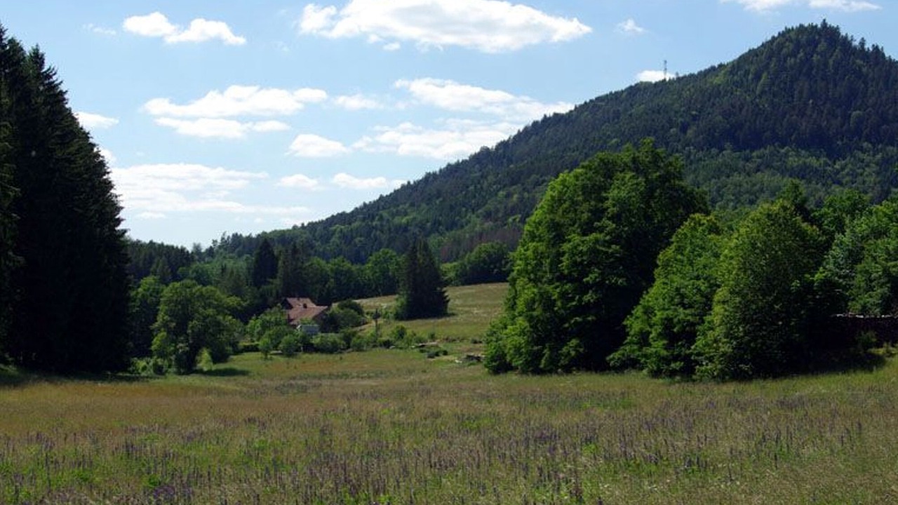 Photo of Others in Le Saulcy