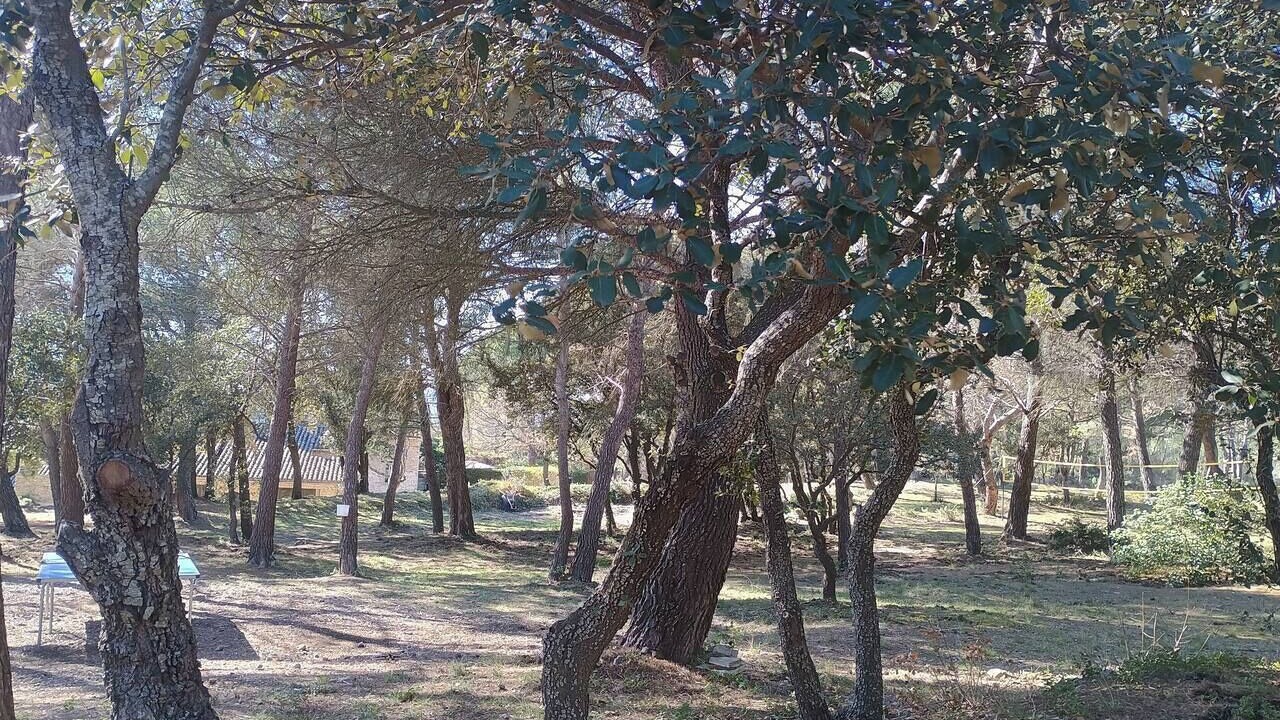 Photo of Others in Saumane-de-Vaucluse