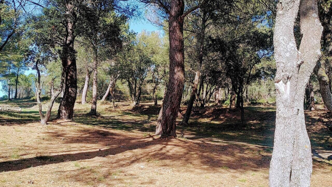 Photo of Others in Saumane-de-Vaucluse