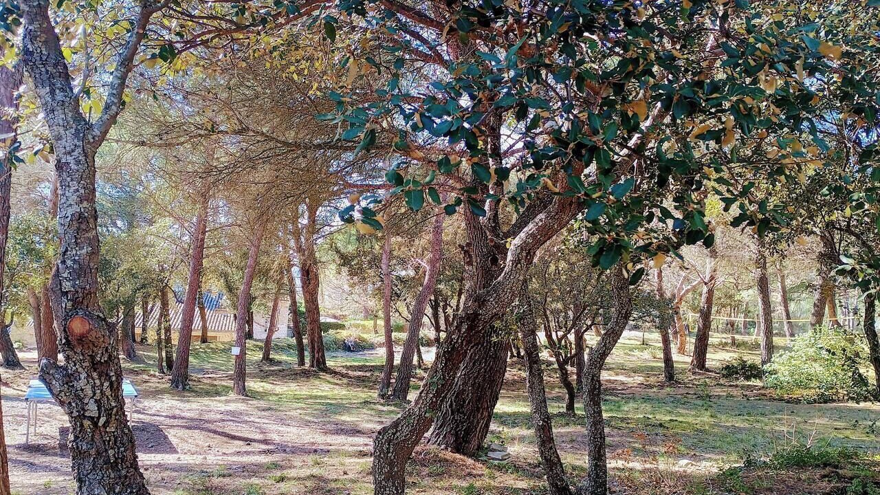Photo of Others in Saumane-de-Vaucluse