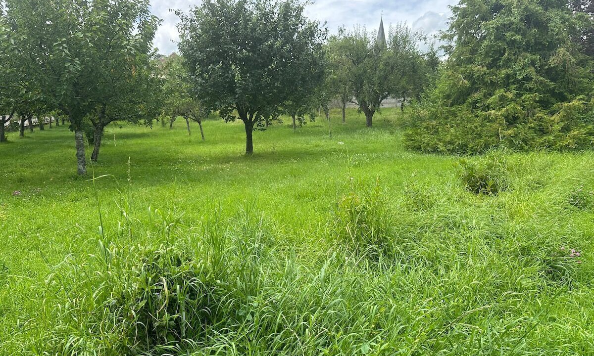 Photo of Others in Beine
