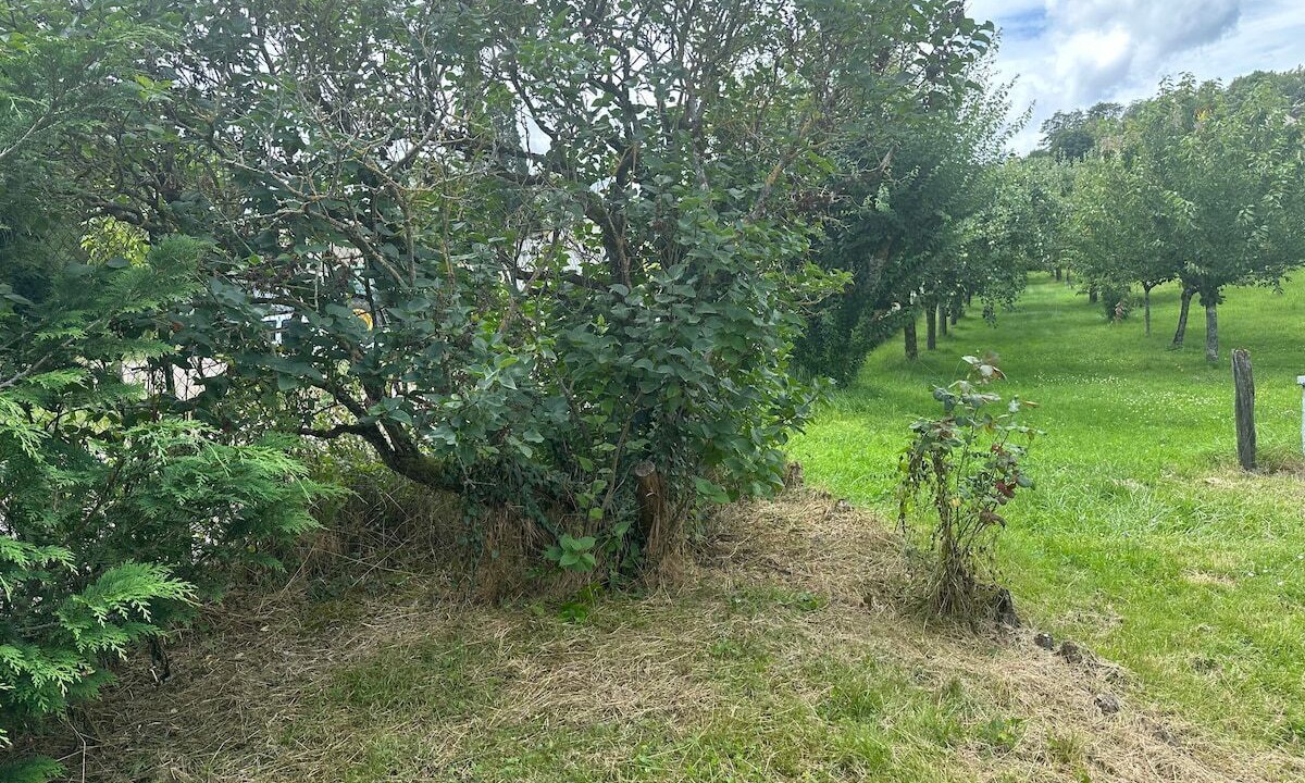 Photo of Others in Beine