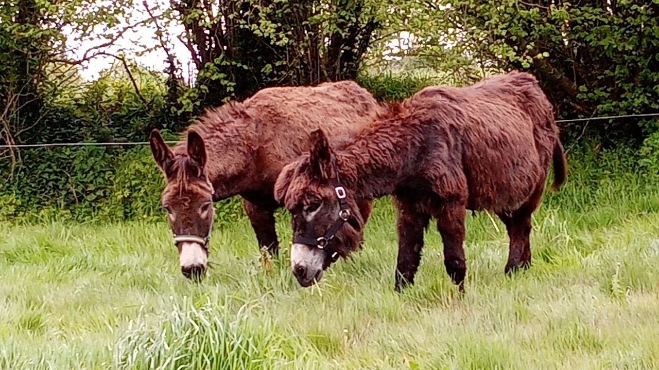 Photo of Others in Bourbriac