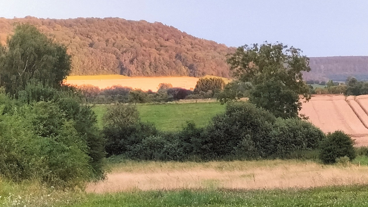 Photo of Others in Bonzee