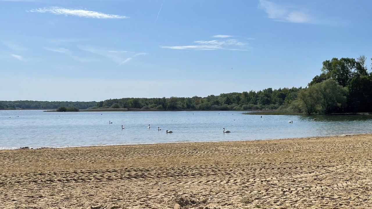 Photo of Others in Giffaumont-Champaubert