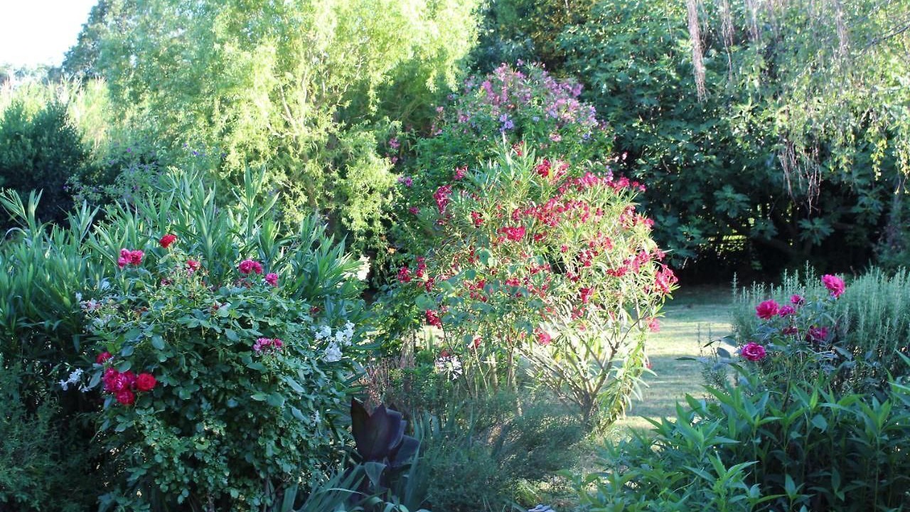 Photo of Outdoor in La Bruguiere