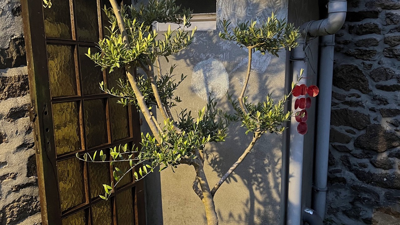 Photo of Outdoor in Ploubalay
