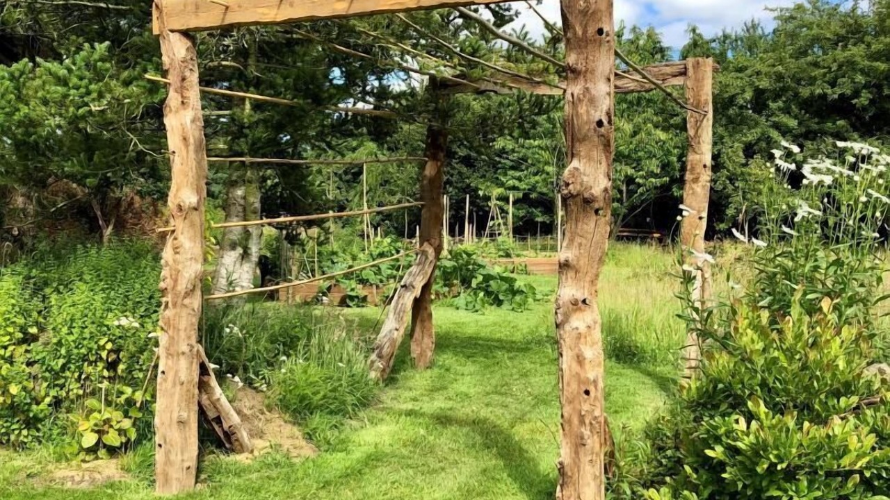 Photo of Outdoor in Saint-Clet
