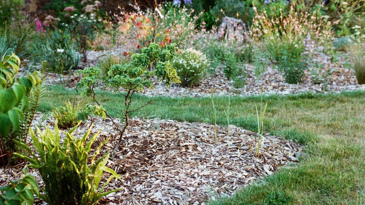 Photo of Outdoor in Saint-Clet