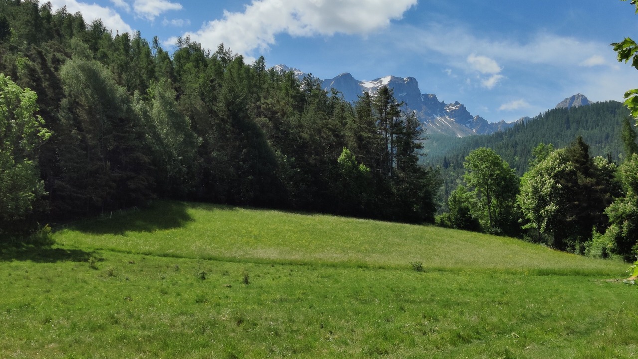 Photo of Others in Barcelonnette