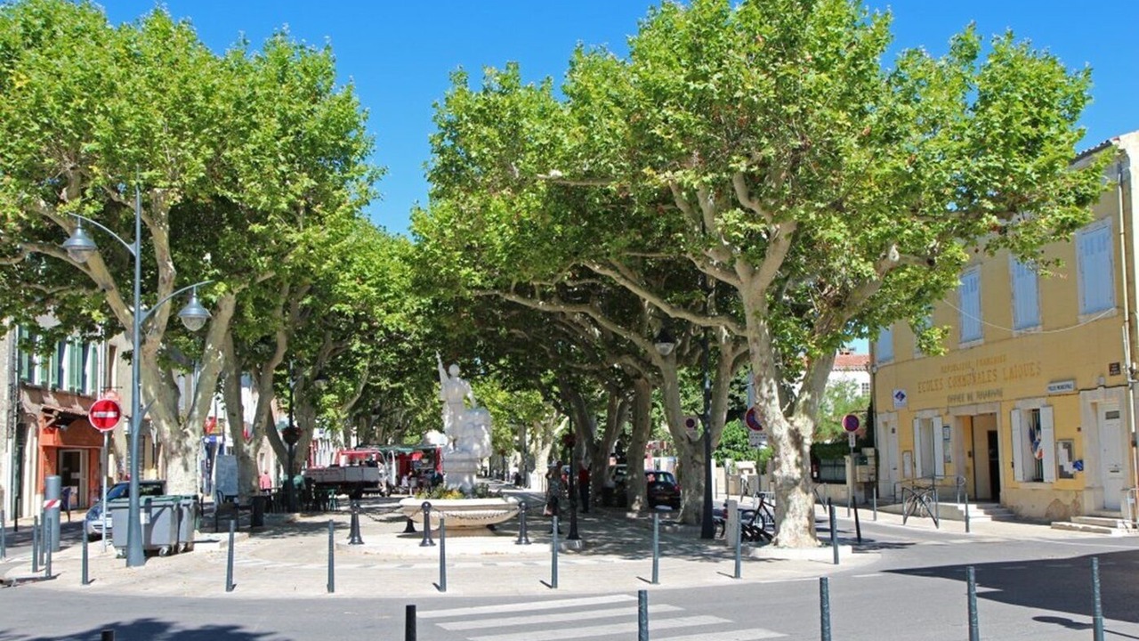 Photo of Others in Nans-les-Pins