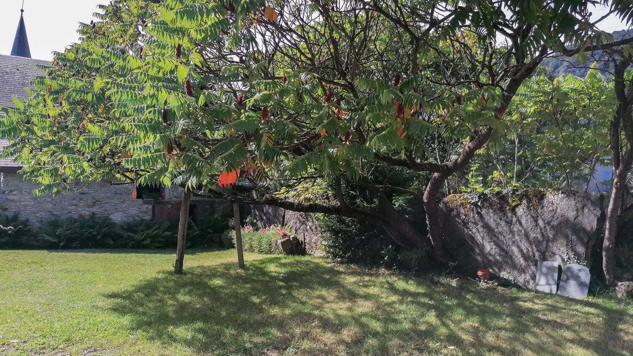 Photo of Outdoor in Juzet-de-Luchon