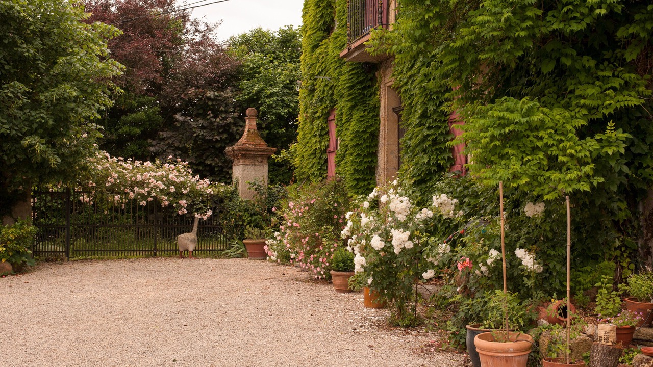 Photo of Outdoor in Molas