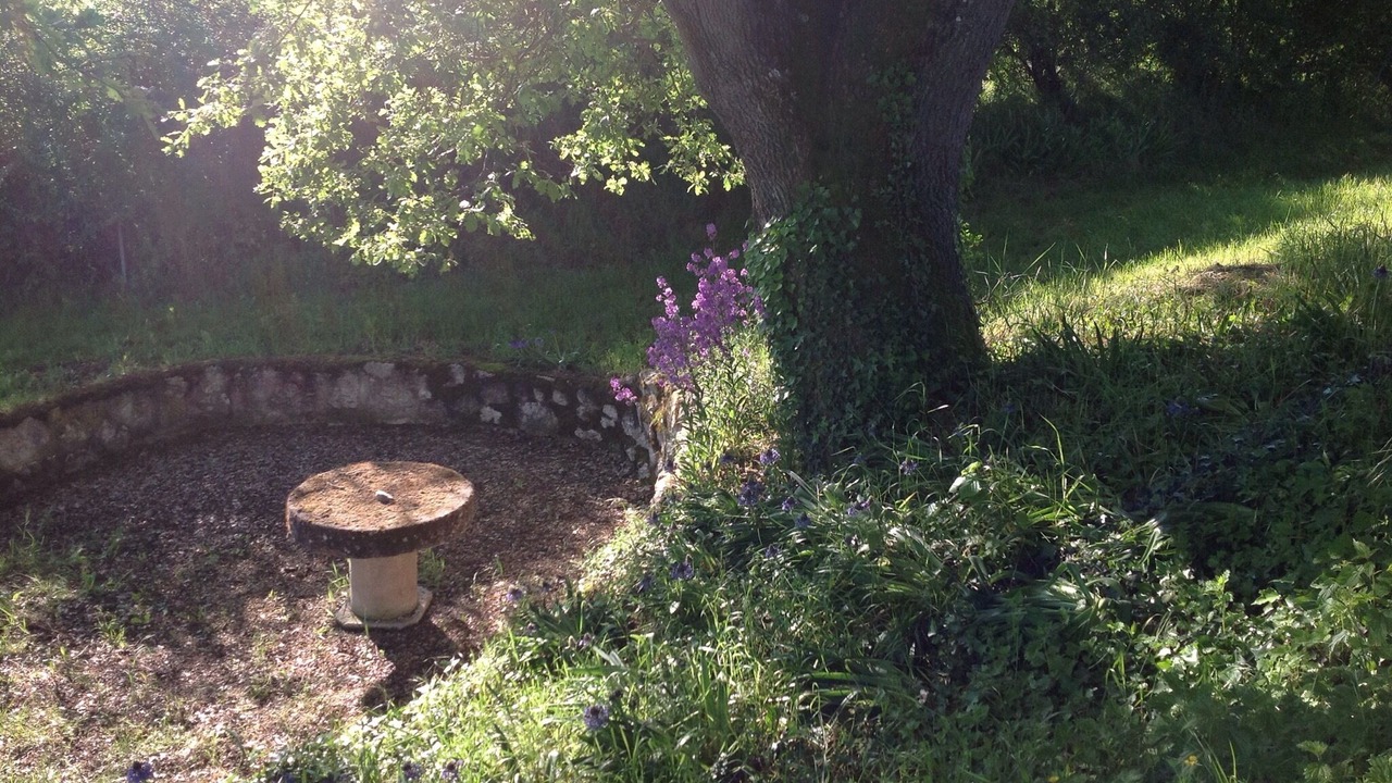 Photo of Outdoor in Molas